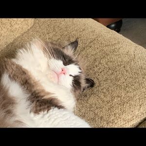 Meet your Posher, Stacey